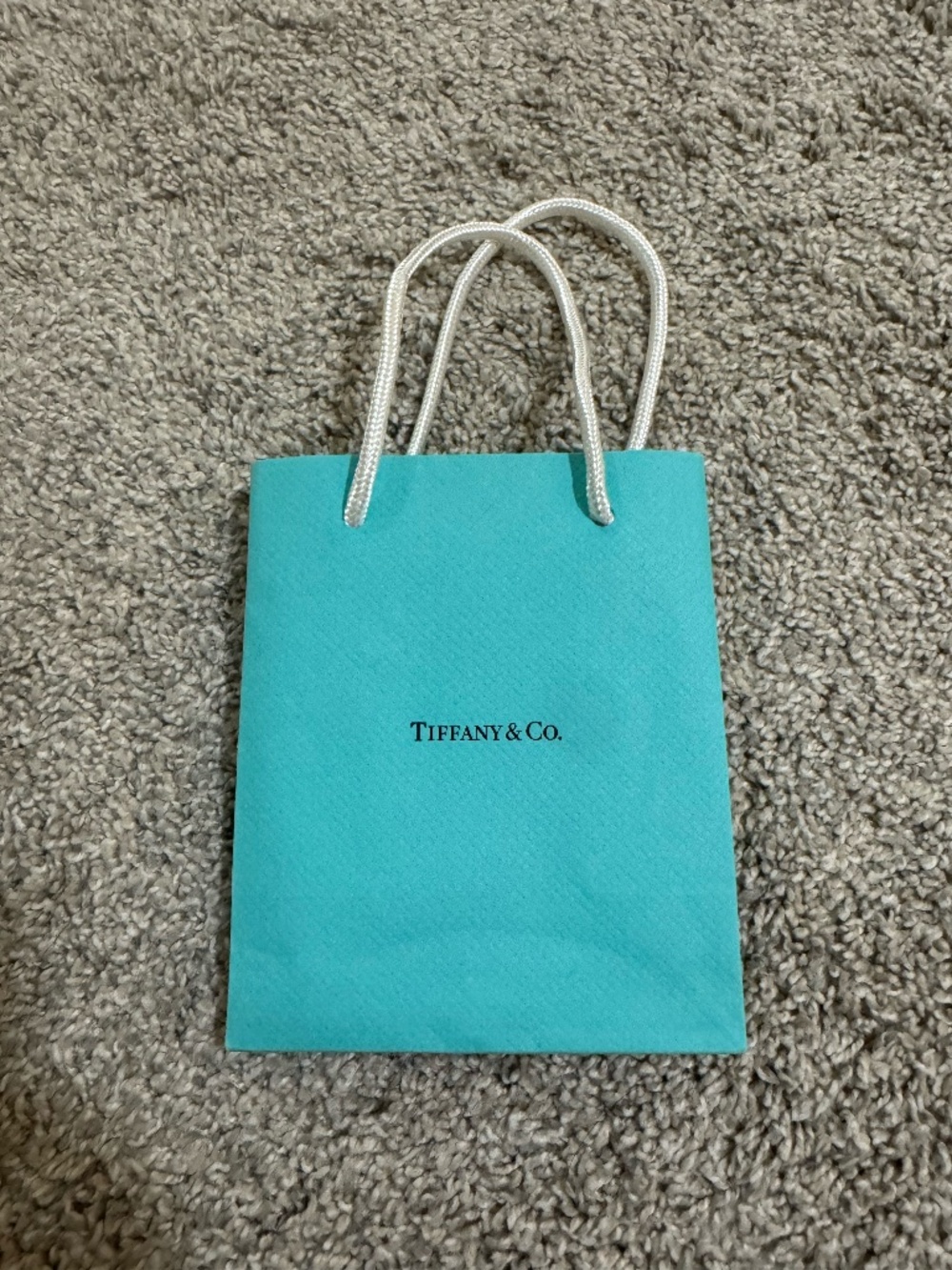 Tiffany and Co Bag and Jewelry Care Booklet
